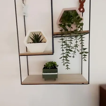 شقة Leonardo 72,apartman زلاتيبور