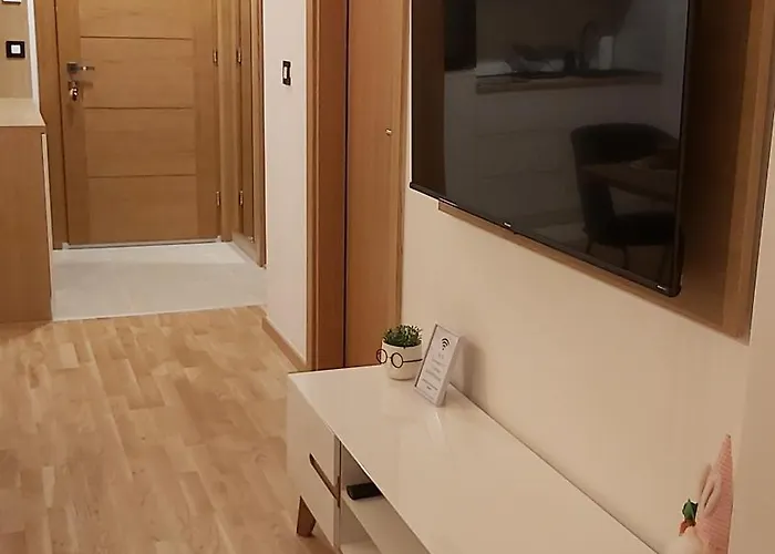 Leonardo 72,apartman ズラティボール